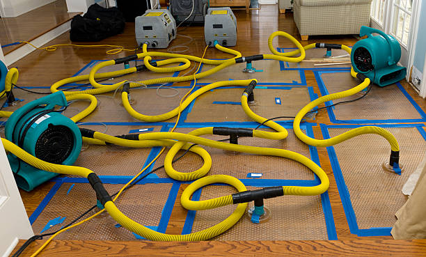 Professional Flood Damage Restoration technician working in Belmore, OH